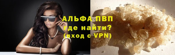 гашиш Богданович