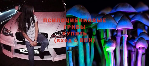 гашиш Богданович