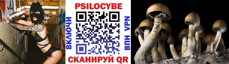 купить  сайты  Котовск  Псилоцибиновые грибы мицелий 